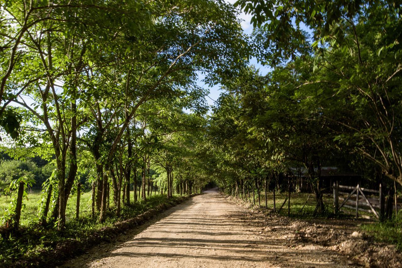 Villas Adriana, Palenque Ngoại thất bức ảnh